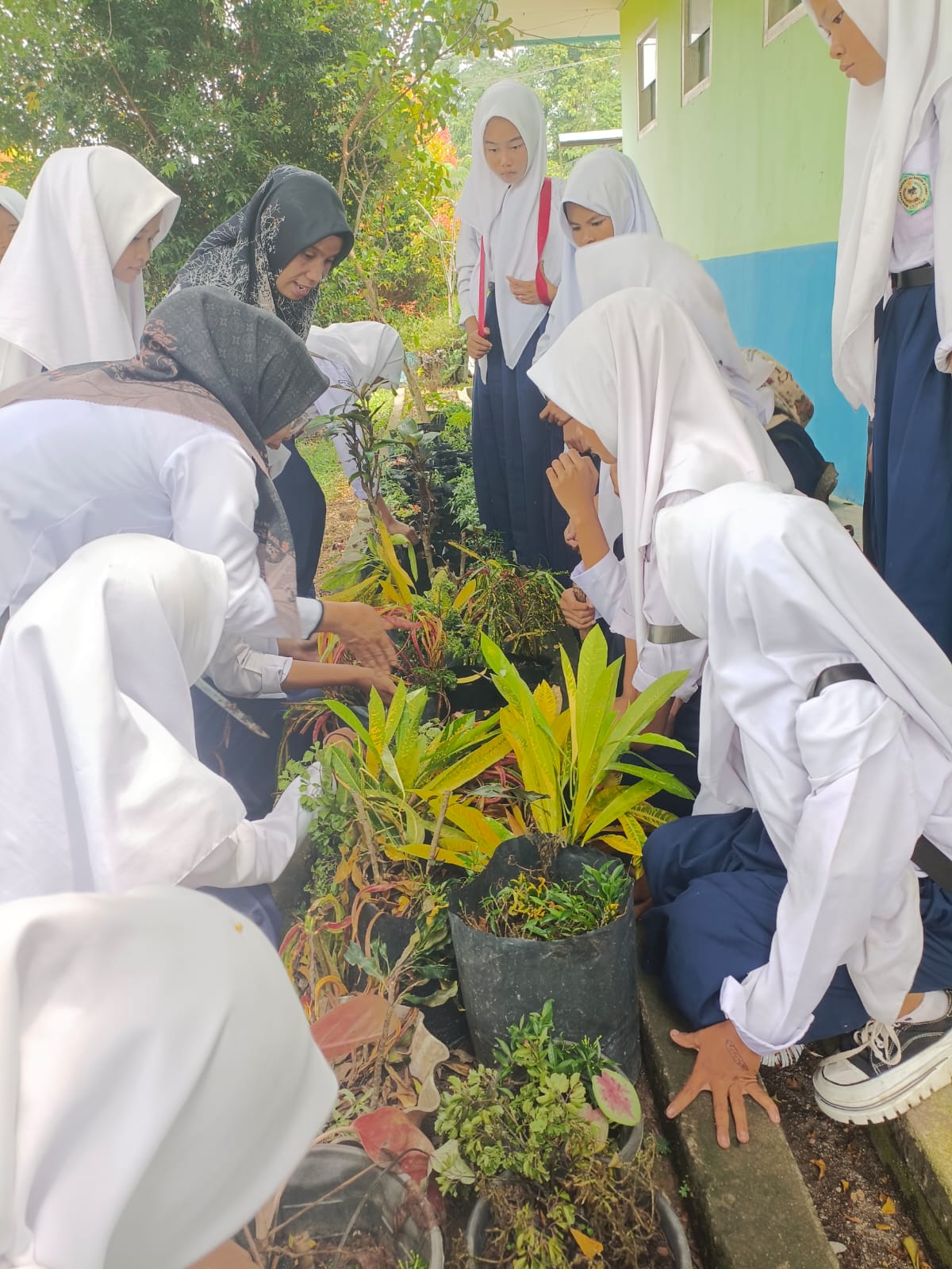PROYEK PENGHIJAUAN MADRASAH, KOLABORASI LINTAS MATA PELAJARAN 