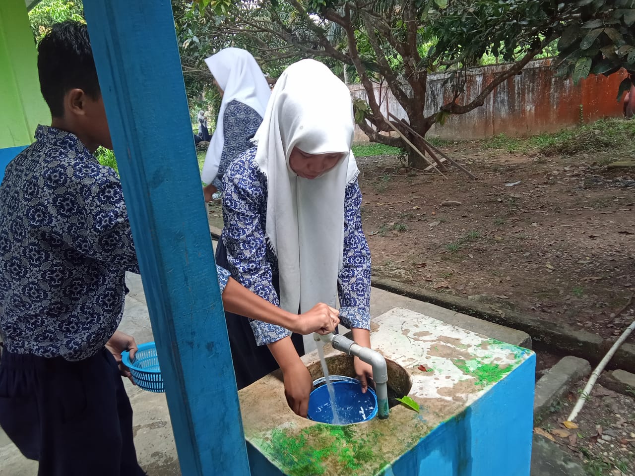 MTsN 5 Tebo BUDIDAYA KANGKUNG SISTEM HIDROPONIK MTsN 5 Tebo BUDIDAYA KANGKUNG SISTEM HIDROPONIK