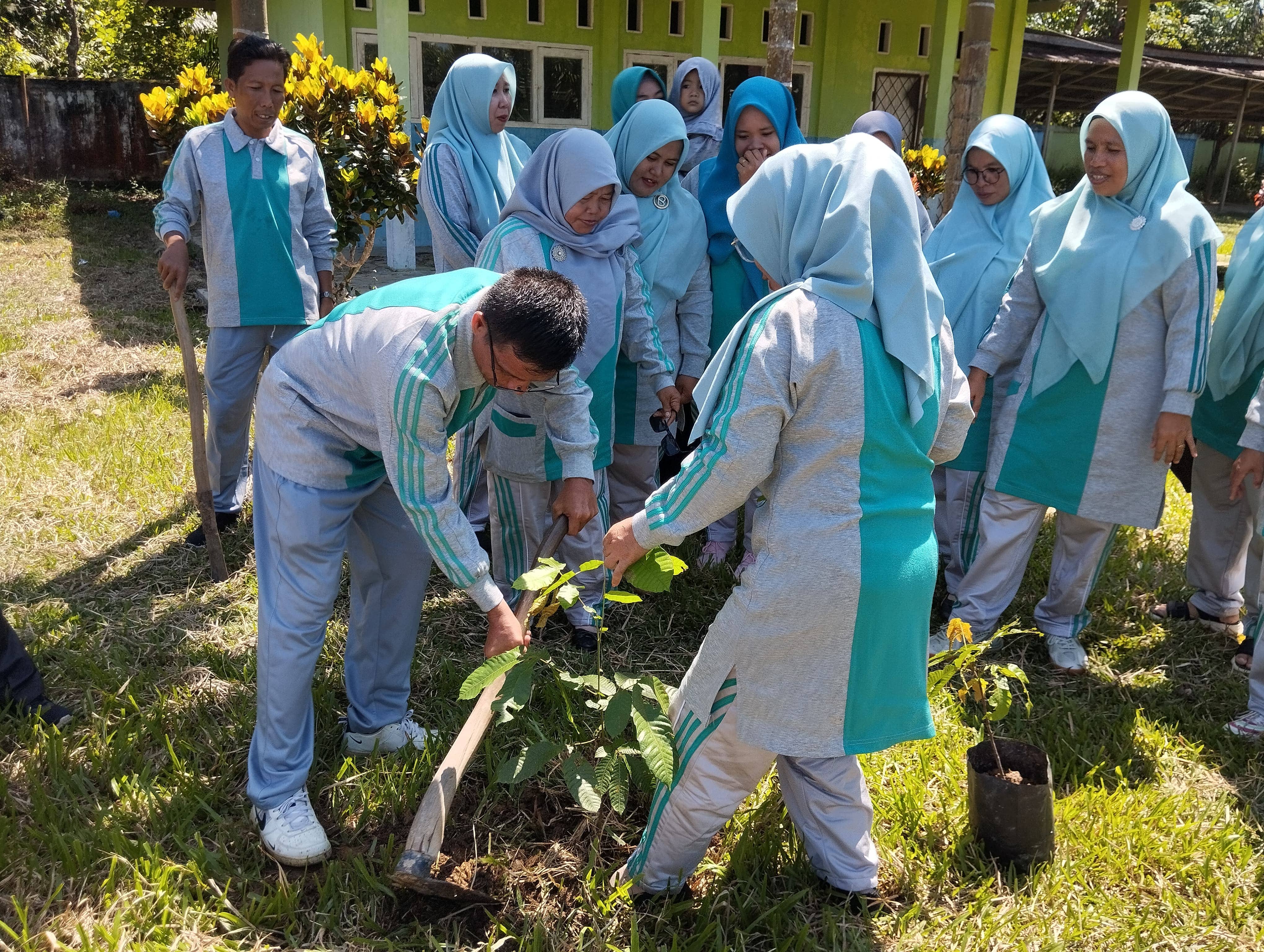MTsN 5 Tebo Ikuti Gerakan Menanam Sejuta Pohon Matoa, Wujud Nyata Cinta Lingkungan